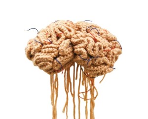 brain01